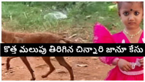 తుని చిన్నారి జ్ఞానేశ్వరి అదృశ్యం కేసులో కొత్త మలుపు.. కిడ్నాప్ కోణంలో విచారణ.. పెంపుడు కుక్క మృతిపై అనుమానాలు!