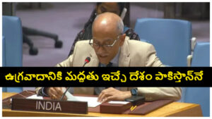 మారణహోమాన్ని సైనిక చర్యగా చూపినా నిజాలు ఎప్పటికీ దాగవు.. యూఎన్‌ వేదికగా పాక్‌పై విరుచుకుపడిన భారత్..