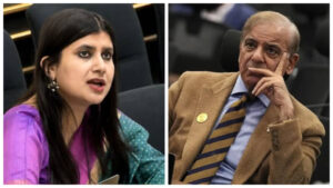 మీది ఒక ఫ్రాంకెన్‌స్టీన్ రాజ్యం.. ఐరాస వేదికగా పాకిస్తాన్ మీద నిప్పులు చెరిగిన భారత్..