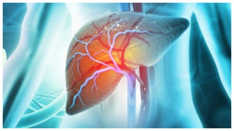 Silent Liver Killers: మద్యం కన్నా ప్రమాదకరం.. మీ కాలేయాన్ని నిశ్శబ్దంగా దెబ్బతీసే ఈ శత్రువుల గురించి తెలుసుకోండి..