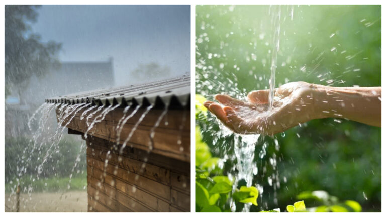 Rainwater Harvesting in India: ప్రతి వర్షపు చుక్కను కాపాడి నీటి విప్లవం సృష్టించిన అనేక దేశాలు.. భారత్ ఎందుకు వెనుకబడి ఉంది..