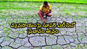 వ్యవసాయంపై సూపర్ ఎల్‌నినో ప్రభావం తీవ్రం