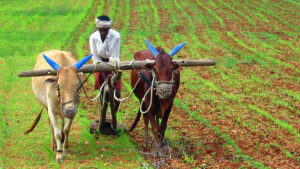 తెలంగాణ రైతులకు అలర్ట్.. ఆగస్టు 15 నుంచి అన్ని ఎరువులు యాప్‌లోనే బుక్ చేయాలి..?