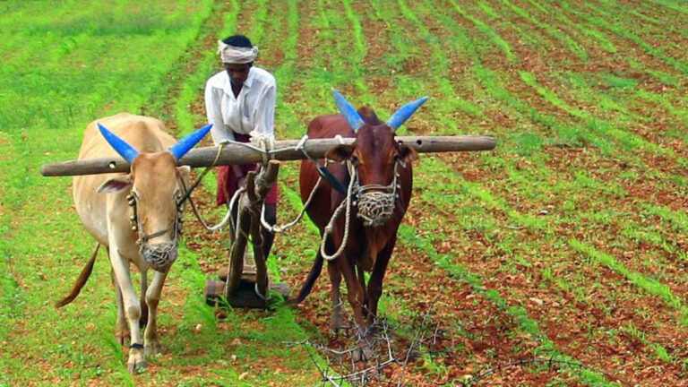 తెలంగాణ రైతులకు అలర్ట్.. ఆగస్టు 15 నుంచి అన్ని ఎరువులు యాప్‌లోనే బుక్ చేయాలి..?