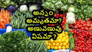 అన్నం అమృతమా ? అణువణువు విషమా ?