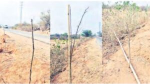 నాటుడే కానీ సంరక్షణేది…?…నాడు హరితహారం….నేడు వన మహోత్సవం… మొక్కల పెంపకం పేరిట కోట్లు వృథా