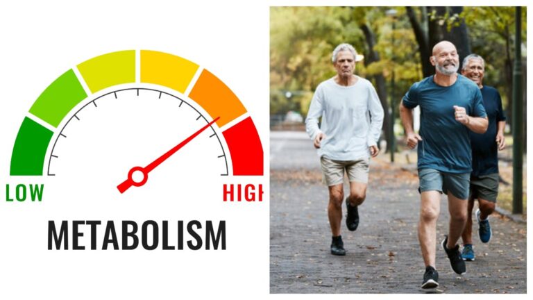 Metabolism: వయసు 60 దాటినా రేసు గుర్రంలా పరిగెత్తండి.. మీ మెటాబాలిజాన్ని పెంచే 10 చిట్కాలు