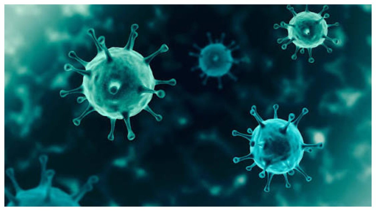 Chandipura Virus: చండీపుర వైరస్ ఎలా వ్యాపిస్తుంది.. దీని లక్షణాలు, చికిత్స ఏమిటి.. గుజరాత్‌లో 22 మంది చిన్నారులు మృతి..