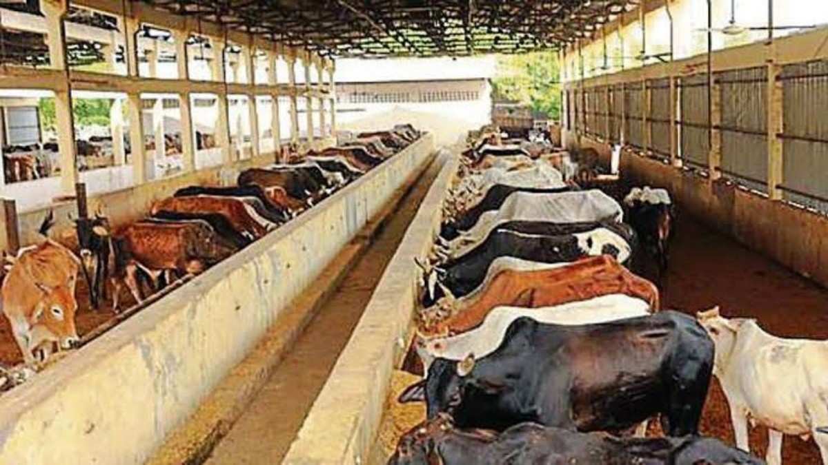 పాడి పరిశ్రమకు కొరవడిన ప్రోత్సాహం