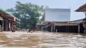 Bihar Floods: గంగానది ఉగ్రరూపం.. బీహార్‌ను ముంచెత్తిన వరదలు.. 15 జిల్లాల్లో 47 లక్షల మందికి పైగా ప్రజలు ప్రభావితం..