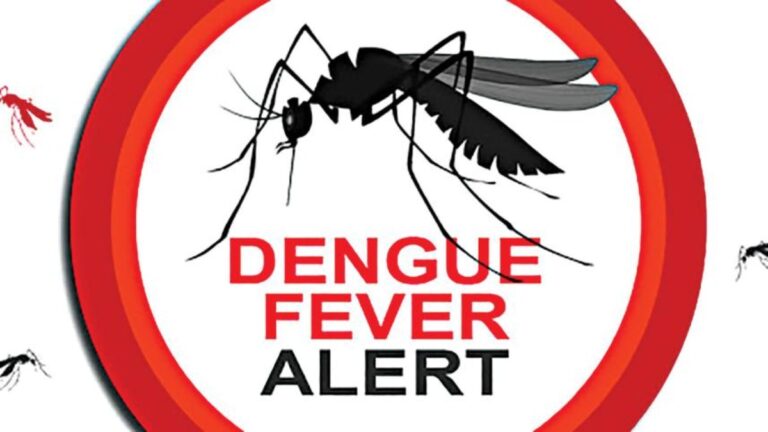 Dengue Alert: ముంచుకొస్తున్న డెంగీ ముప్పు.. ప్రమాదకరంగా వాతావరణ పరిస్థితులు.. తాజా అధ్యయనంలో సంచలన విషయాలు
