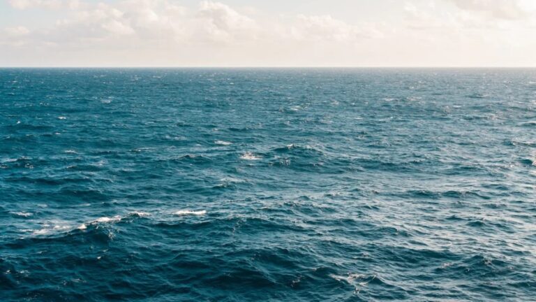 Sea vs Ocean: సముద్రం vs మహాసముద్రం.. ఇవి రెండు ఒకటి కాదు.. రెండు పదాల మధ్య తేడా తెలుసుకుంటే ఆశ్చర్యపోతారు..