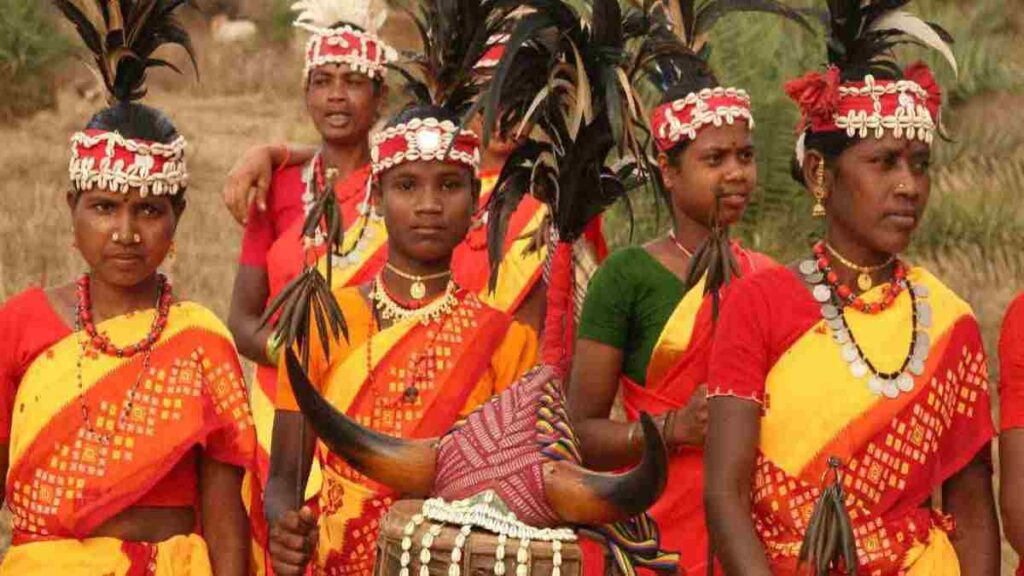 Editorial On Forest Rights: అడవిపై హక్కు ఎవరిది ?