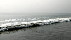 Bay of Bengal Dead Zone: బంగాళాఖాతంలో తగ్గుతున్న ఆక్సిజన్.. విశాఖ-కాకినాడ తీరాలకు ఎదురుగా ‘డెడ్‌ జోన్‌’.. కనుమరుగవుతున్న చేపలు..
