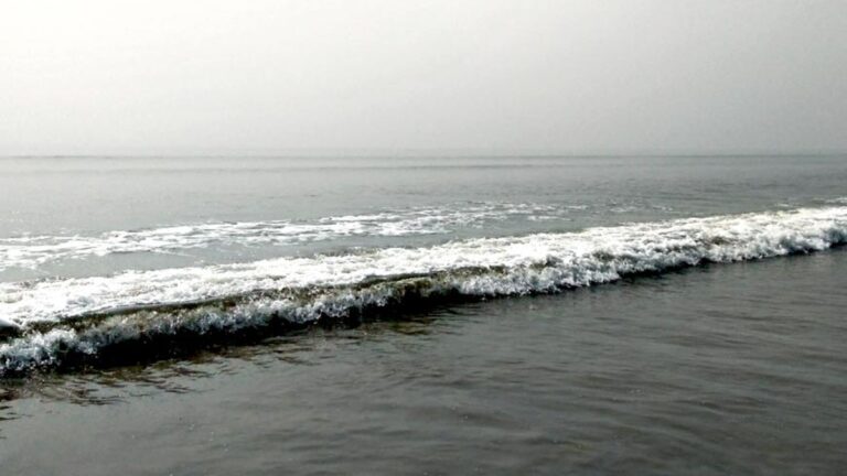Bay of Bengal Dead Zone: బంగాళాఖాతంలో తగ్గుతున్న ఆక్సిజన్.. విశాఖ-కాకినాడ తీరాలకు ఎదురుగా ‘డెడ్‌ జోన్‌’.. కనుమరుగవుతున్న చేపలు..