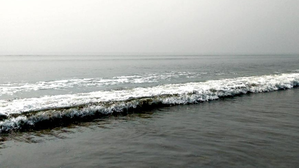 Bay of Bengal Dead Zone: బంగాళాఖాతంలో తగ్గుతున్న ఆక్సిజన్.. విశాఖ-కాకినాడ తీరాలకు ఎదురుగా ‘డెడ్‌ జోన్‌’.. కనుమరుగవుతున్న చేపలు..