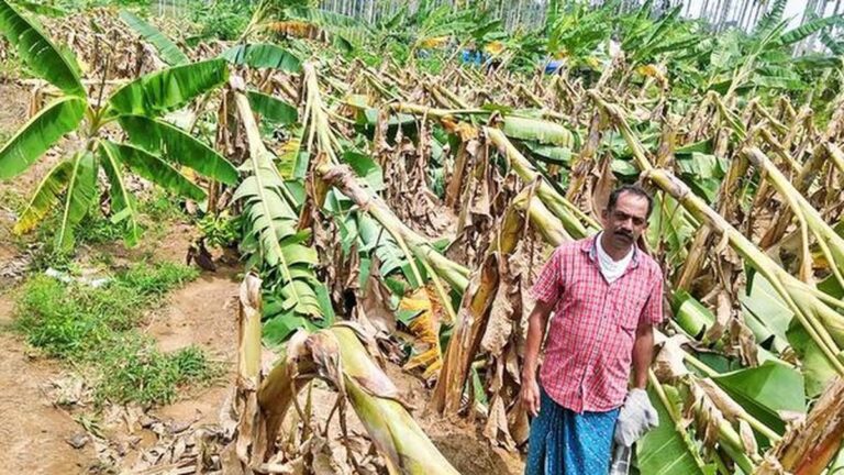 భారత వ్యవసాయ రంగానికి సంకెళ్లు?