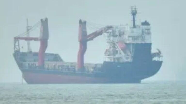 Strait of Hormuz Attack: హార్ముజ్ జలసంధిలో నౌకపై దాడి.. 11 మంది భారతీయ నావికులకు గాయాలు..